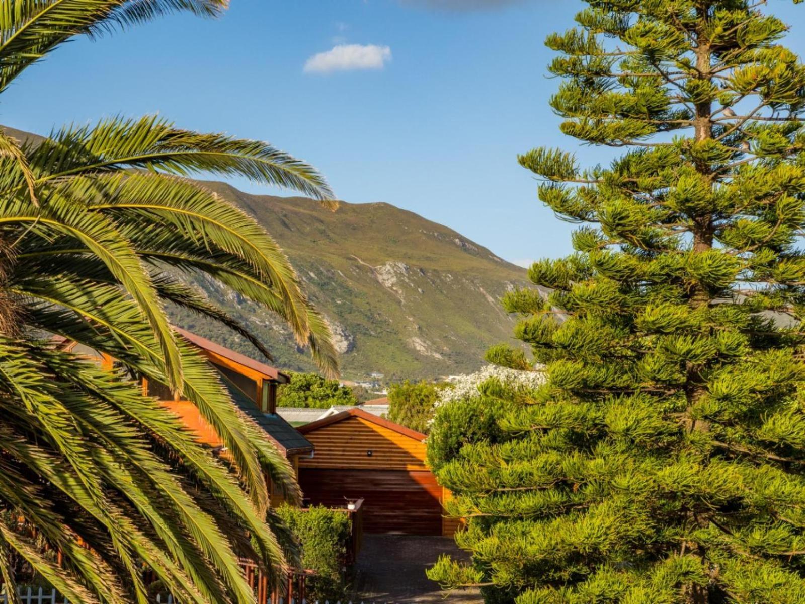 Two Palm House - Vermont Hermanus Værelse billede