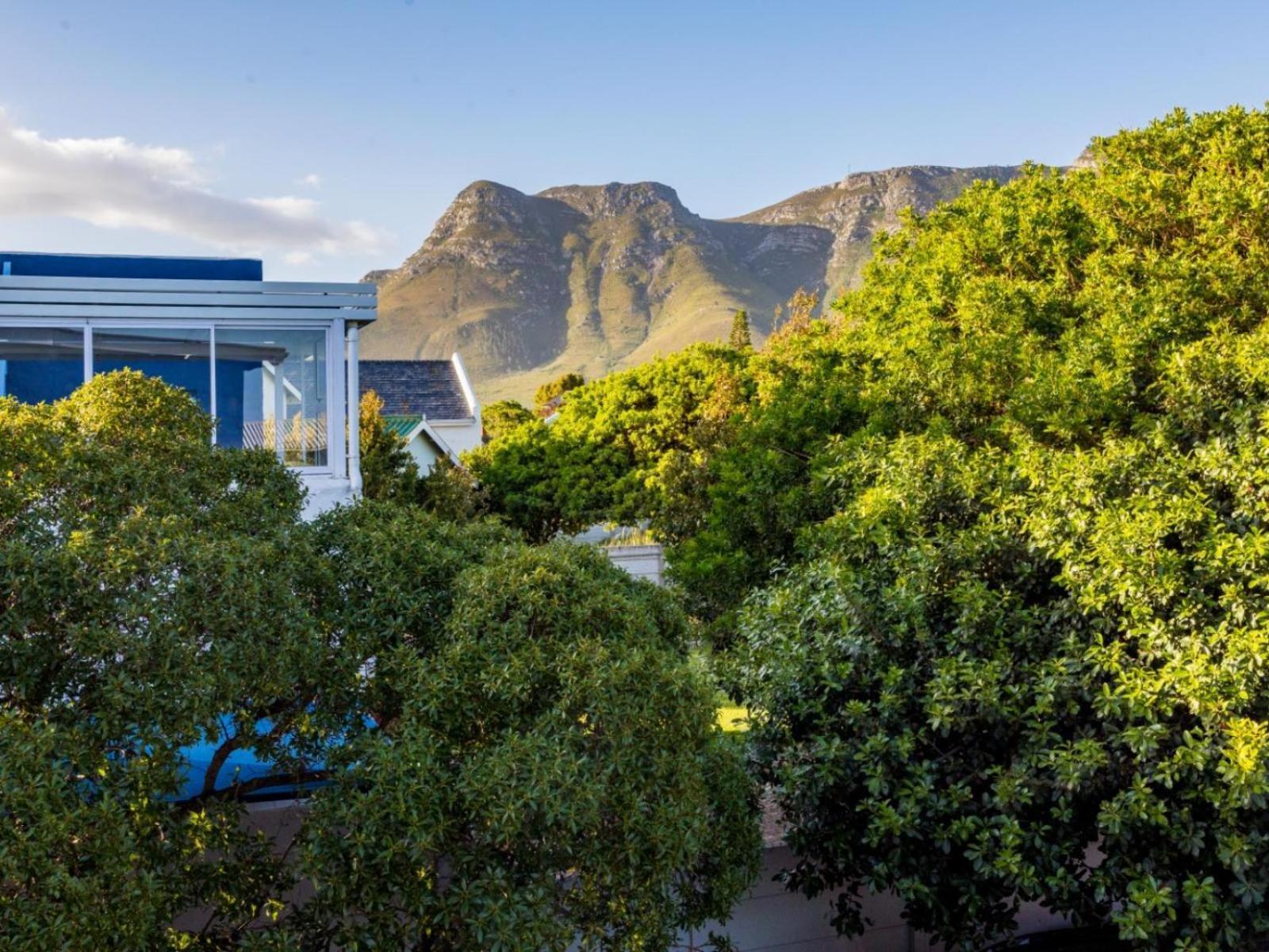 Two Palm House - Vermont Hermanus Værelse billede